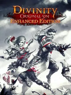 Divinity: Original Sin - Enhanced Edition PS4 — okładka gry